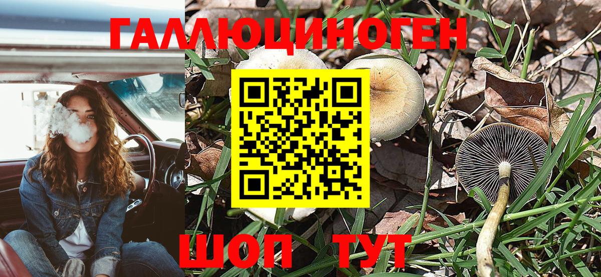 Галлюциногенные грибы прущие грибы  Карасук  наркота  Галлюциногенные грибы прущие грибы 